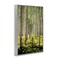 Stupell Industries Small And Tall Birch Forest Framed Giclee, design by D. Burt
